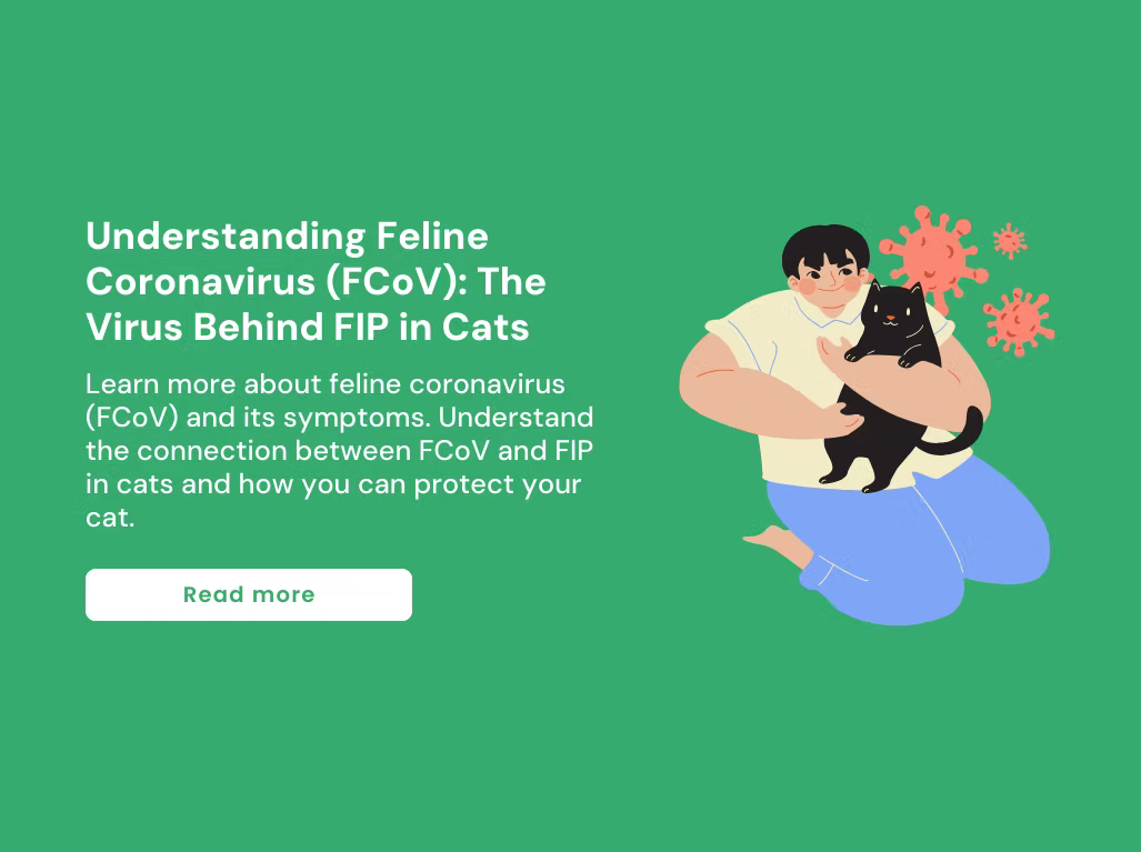 Understanding Feline Coronavirus (FCoV): The Virus Behind FIP in Cats