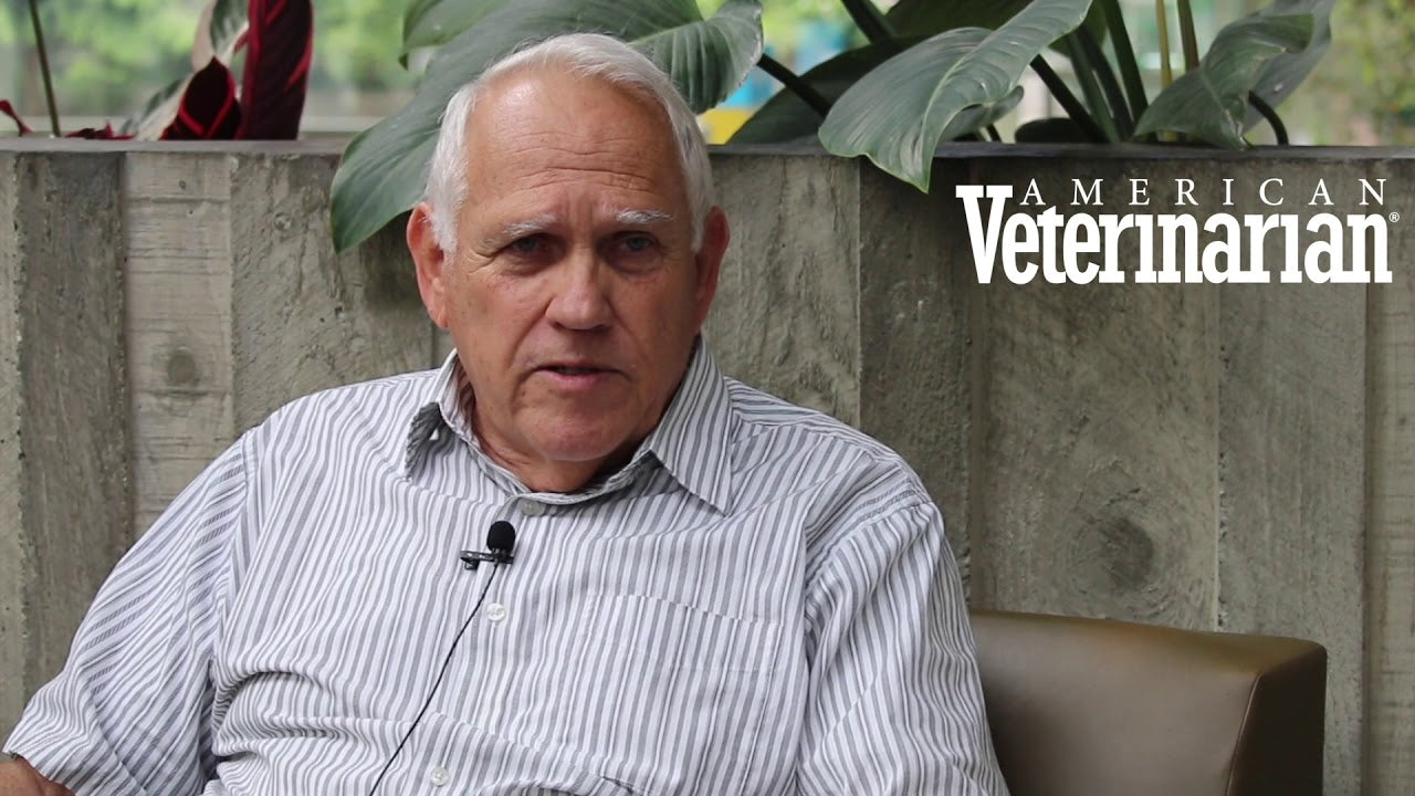 Every Pure GS-441524 Capsule on the Market Has the Same Problem. The Man Who Invented FIP Treatment Said So Himself.