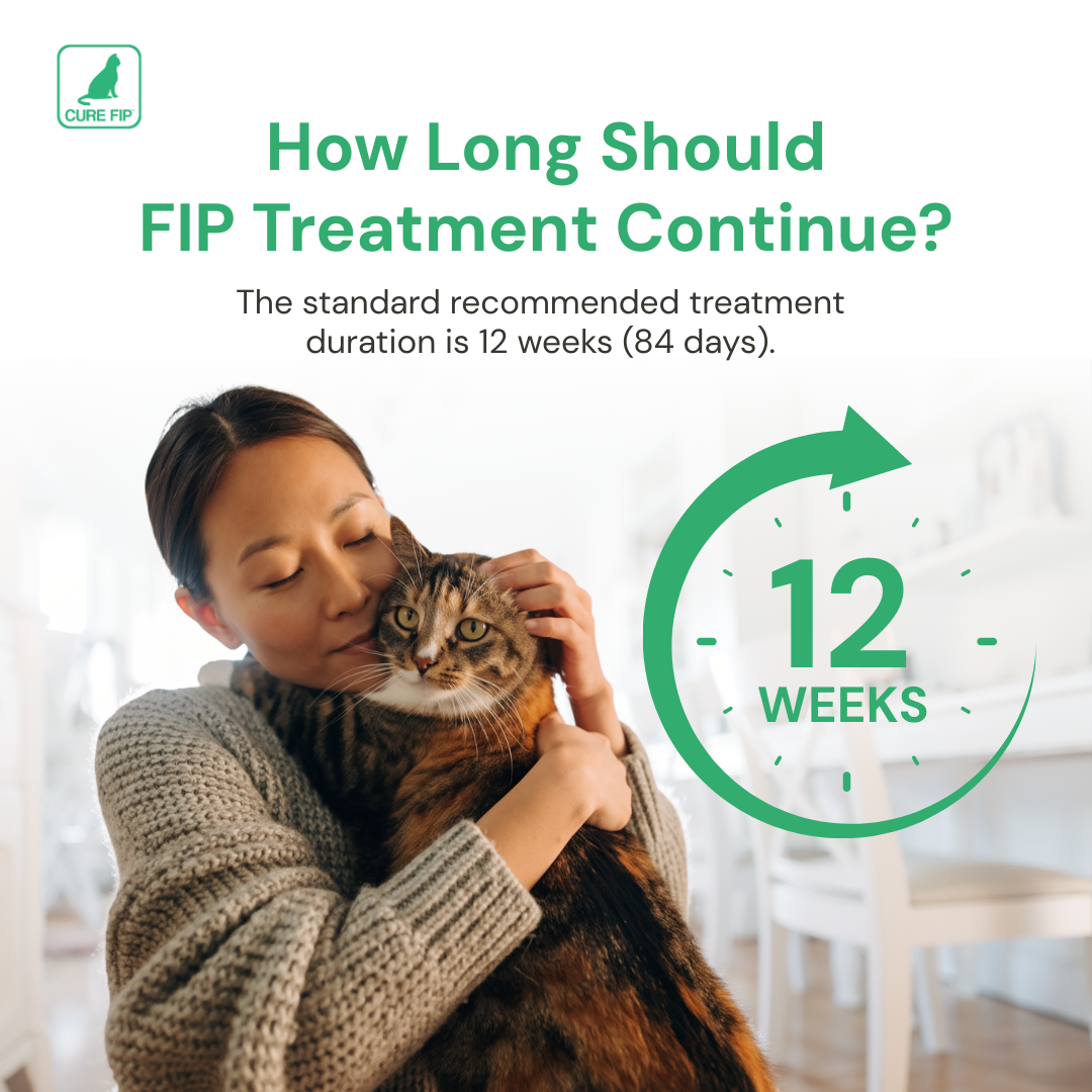 Cure FIP Antiviral【20mg/ml, 8ml】