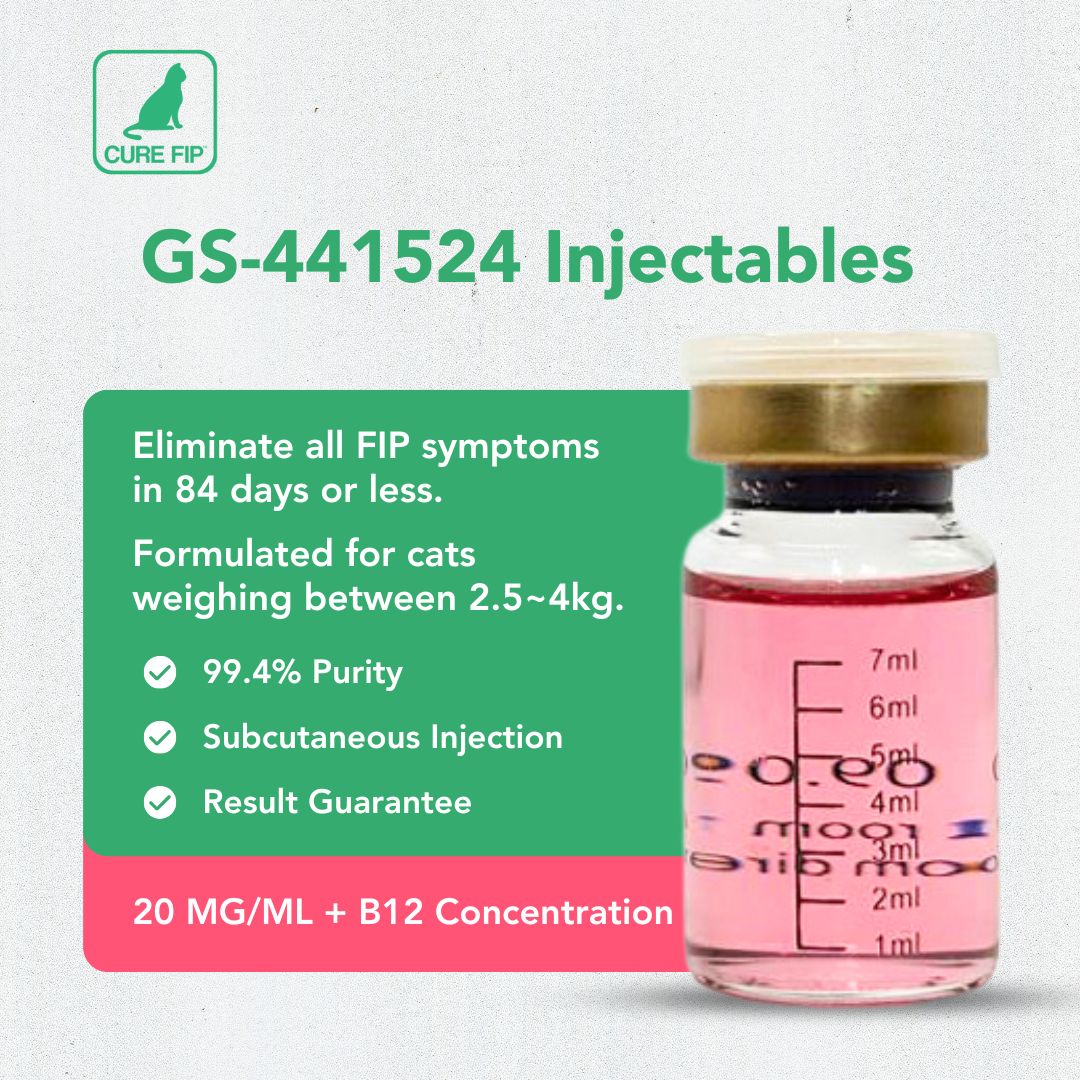 Cure FIP Antiviral + Witamina B12 【20mg/ml, 8ml】