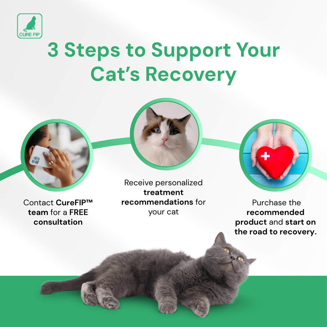 Cure FIP Antiviral【20mg/ml, 8ml】