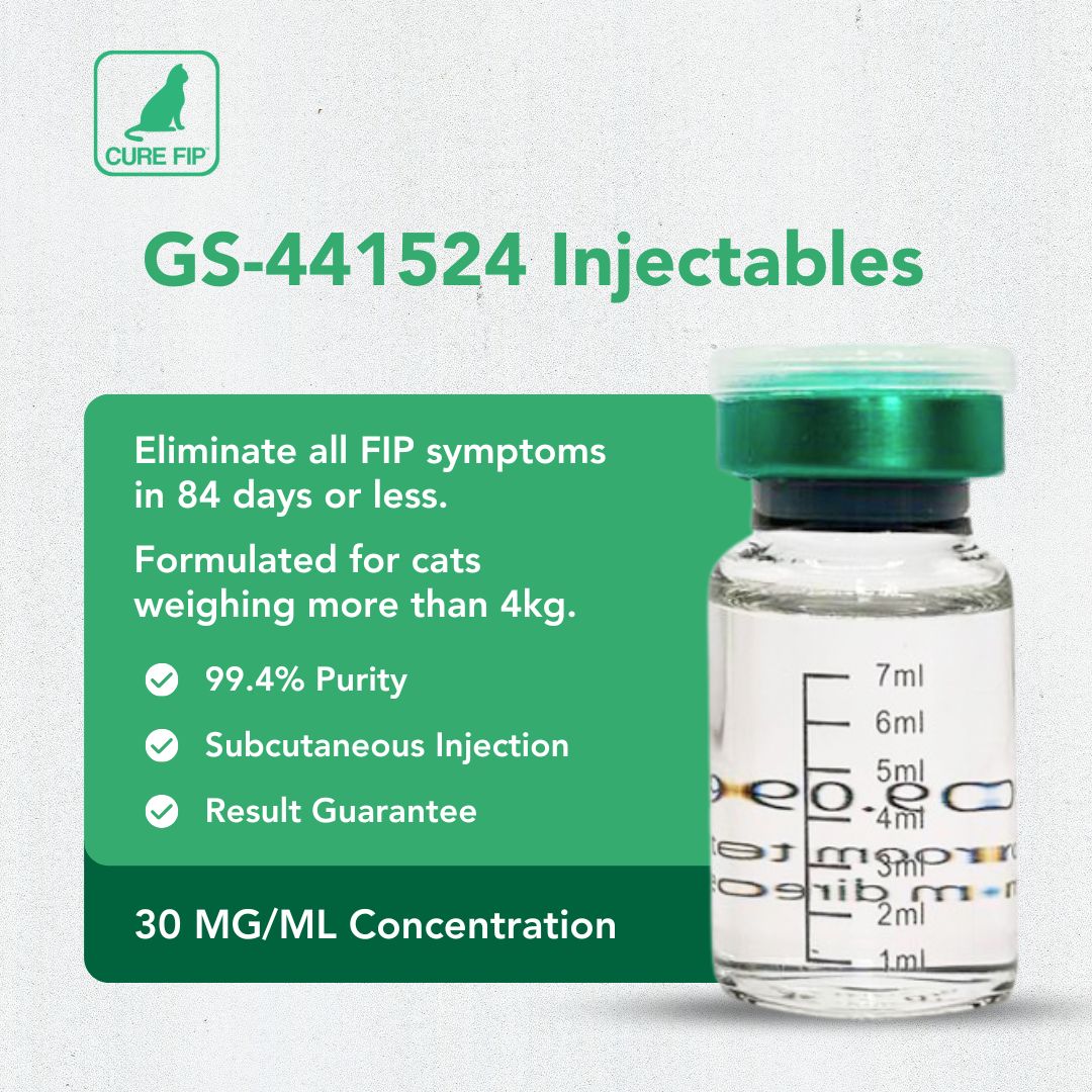 Cure FIP Antiviral【30mg/ml, 8ml】