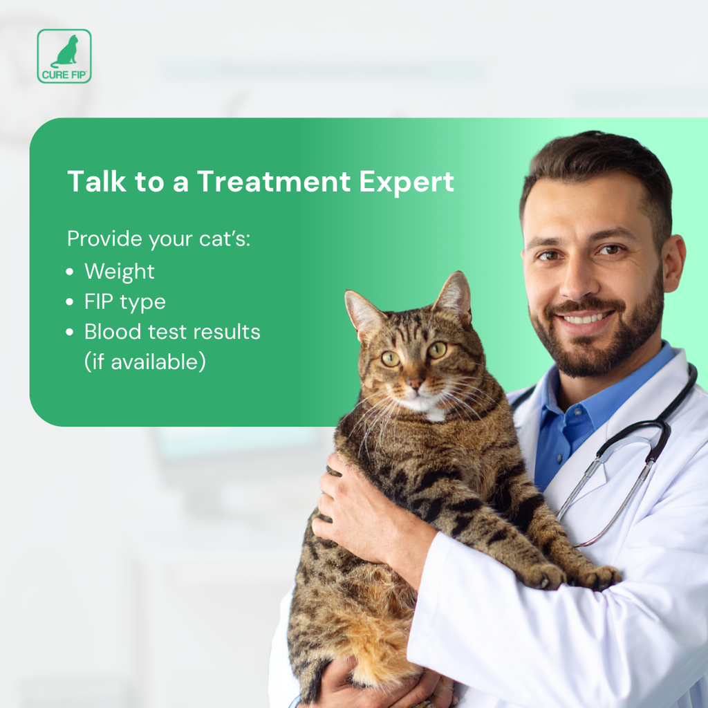 Für Katzen mit einem Gewicht unter 2,5 kg, 30-Tage-Kurpackung