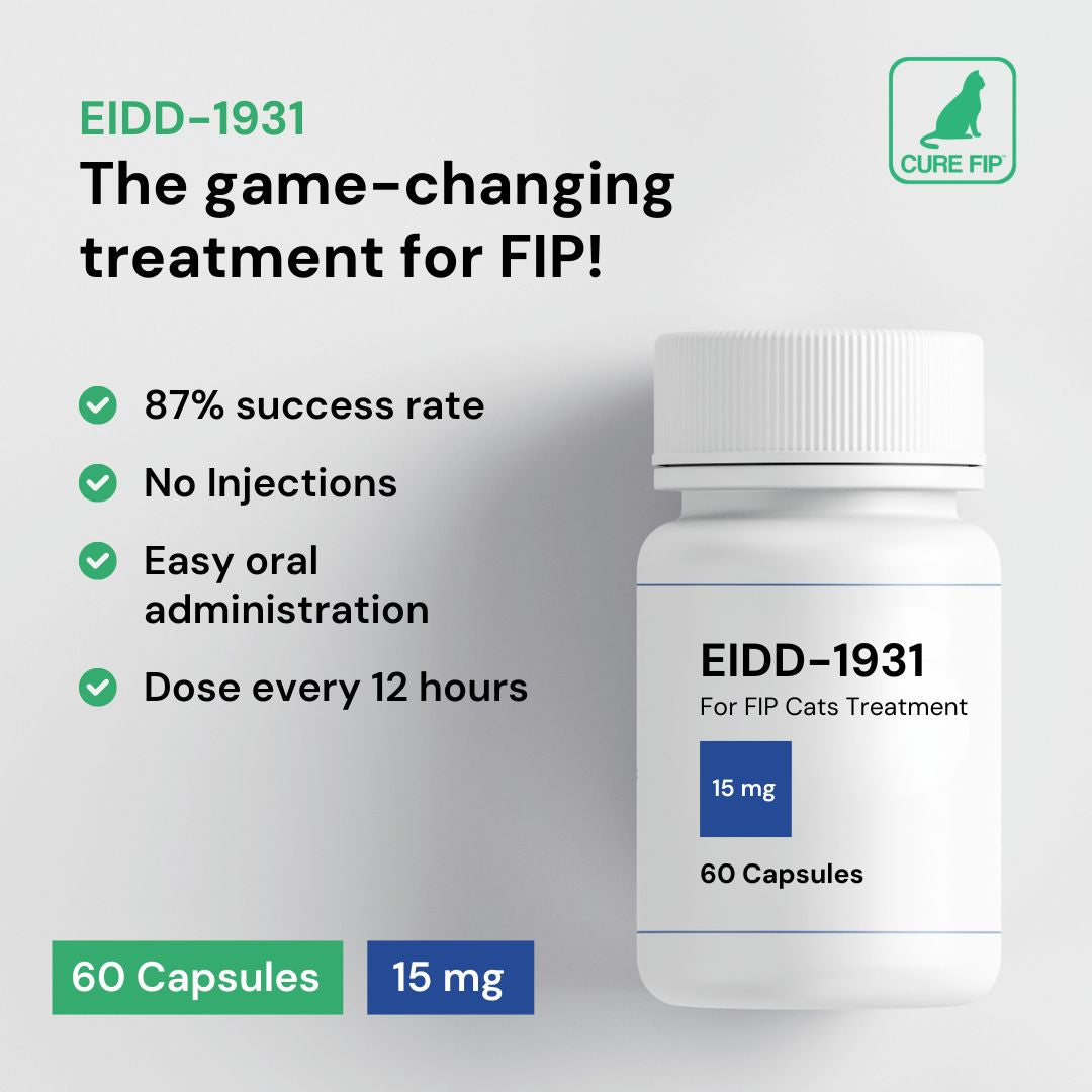EIDD-1931 | Zaawansowana terapia przeciwwirusowa w zakaźnym zapaleniu otrzewnej kotów (FIP)